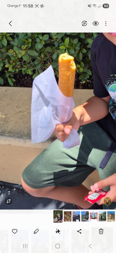 Le corn-dog près de Hulk (coaster)